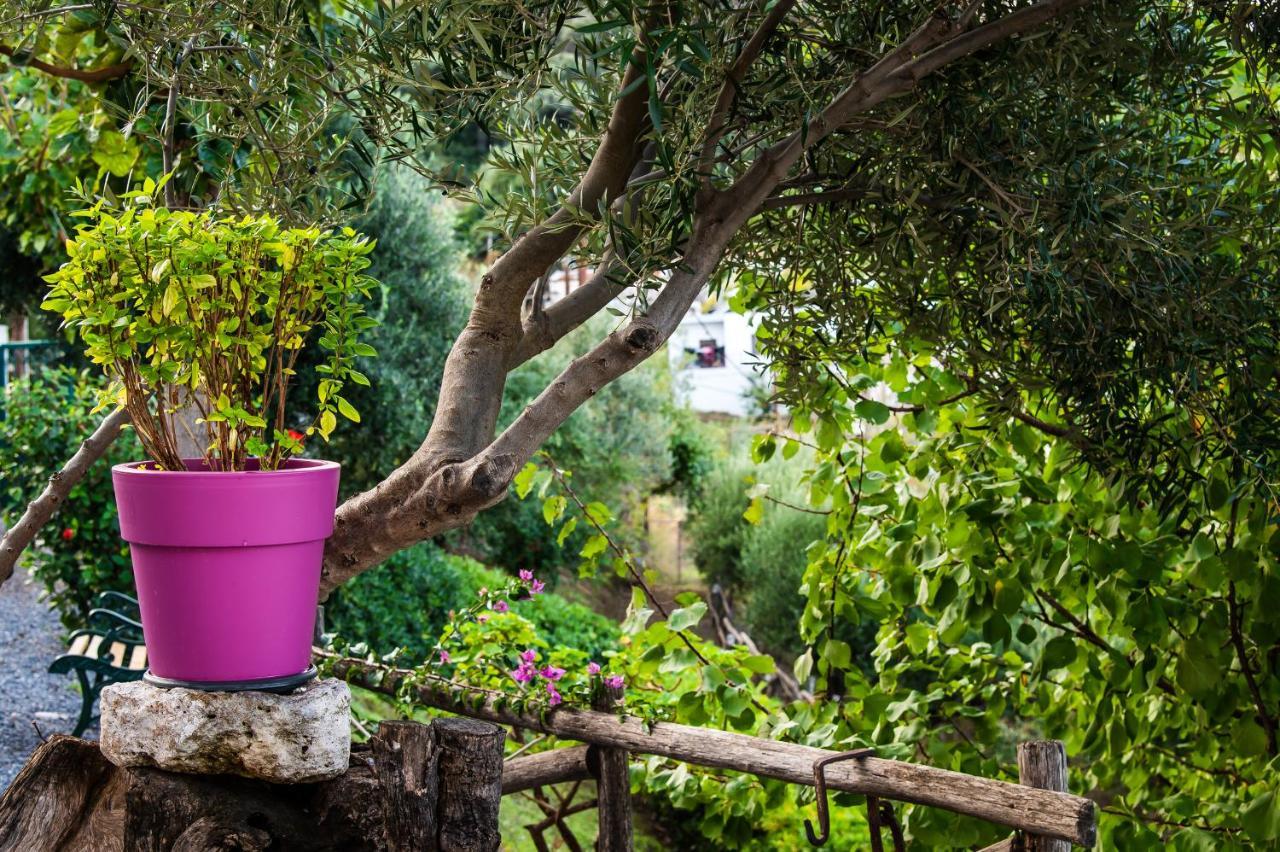 Chic & Spacious House In Rodia Heraklion (Crete)